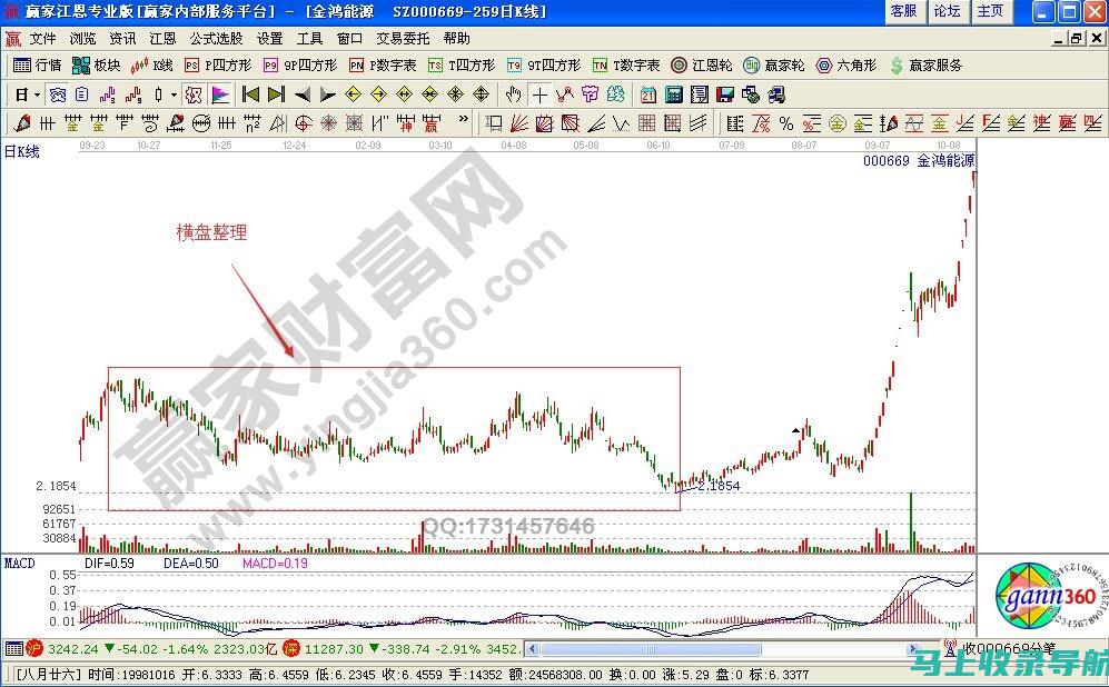 实战案例解析：成功的SEO查询页面设计要素