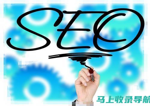 SEO长尾词：概念入门与实战应用指南